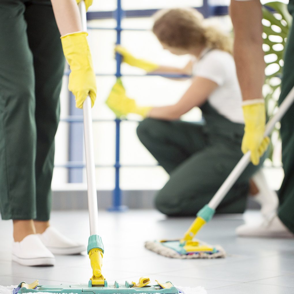 contact us contact us